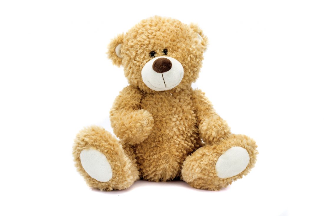 Lehigh fire district helps local school reach stuffed animal goals | News, Sports, Jobs - Vimarsana News